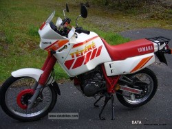 yamaha__xt_600_tenere_3aj_1989_1_lgw.jpg