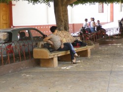 IMGP0319.jpg