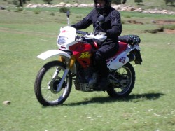 IMGP0389.jpg