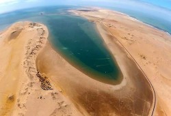 009-dakhla-tartarughe-delfini-fenicotteri-us.jpg