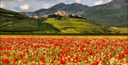 Castelluccio4-1024x520.jpg